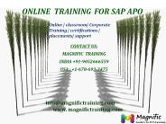 online training for sap apo