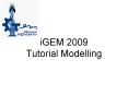 iGEM 2009 Tutorial Modelling PowerPoint PPT Presentation