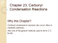 Chapter 23. Carbonyl Condensation Reactions PowerPoint PPT Presentation