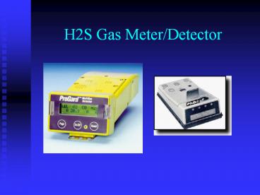H2S Gas Meter/Detector