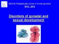 Disorders of gonadal and sexual development PowerPoint PPT Presentation