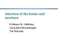 Infection of the foetus and newborn PowerPoint PPT Presentation