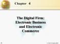 The Digital Firm: Electronic Business and Electronic Commerce PowerPoint PPT Presentation