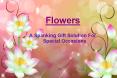 Flowers : A spanking gift solution for special occasions PowerPoint PPT Presentation