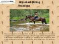 Horse-back-riding-Vacation PowerPoint PPT Presentation