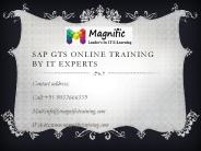 sap gts online training by IT experts