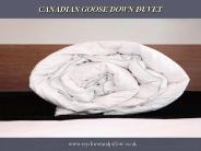 Canadian goose down Duvet & pillow (1)
