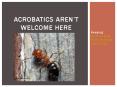 Acrobatics Aren’t Welcome Here – Keeping Acrobat Ants from Invading Your Home PowerPoint PPT Presentation