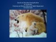 Opioid Use Disorders Among Mothers Dr. Surita Rao Chairman and Director, Behavioral Health Department St. Francis Care PowerPoint PPT Presentation
