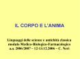 IL CORPO E L PowerPoint PPT Presentation