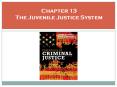 Chapter 13 The Juvenile Justice System PowerPoint PPT Presentation