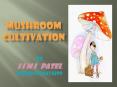 Mushroom cultivation PowerPoint PPT Presentation