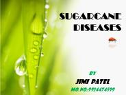 sugarcane diseases