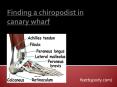 Finding a chiropodist in canary wharf PowerPoint PPT Presentation