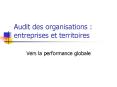 Audit des organisations : entreprises et territoires PowerPoint PPT Presentation