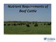 Nutrient Requirements of Beef Cattle PowerPoint PPT Presentation
