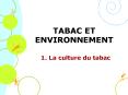 TABAC ET ENVIRONNEMENT PowerPoint PPT Presentation