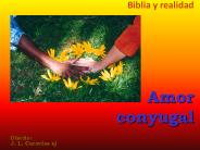Biblia y realidad