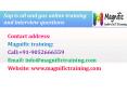 sap is oil and gas online training by IT experts PowerPoint PPT Presentation