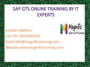 sap gts online training by IT experts