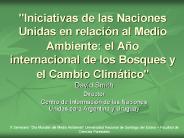 Iniciativas de las Naciones Unidas en relaci