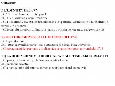 II.3d) sugli animatori - parte prima