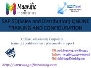 sap sd online training (1)