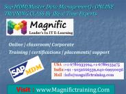 sap mdm online training certification course