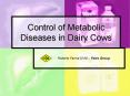 Control of Metabolic Diseases in Dairy Cows PowerPoint PPT Presentation
