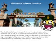 Niles Goodsite