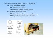 Diapositiva 1