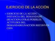 EJERCICIO DE LA ACCI