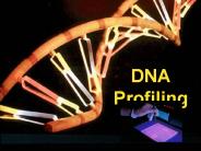 DNA Profiling