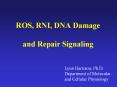 ROS, RNI, DNA Damage and Repair Signaling PowerPoint PPT Presentation