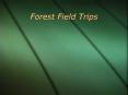 Forest Field Trips PowerPoint PPT Presentation