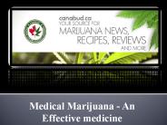 CANABUD.CA Canada Medical Marijuana