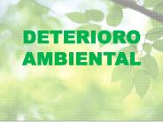 Diapositiva 1