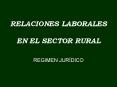 RELACIONES LABORALES   EN EL SECTOR RUAL PowerPoint PPT Presentation