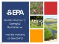 An Introduction to Ecological Revitalization PowerPoint PPT Presentation