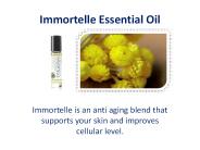 Immortelle Essential Oil Today