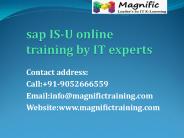 sap isu online training and certification by SAP professionals