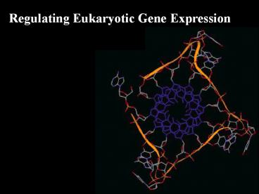Regulating Eukaryotic Gene Expression
