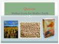 Quinoa Mother Grain for Mother Earth PowerPoint PPT Presentation