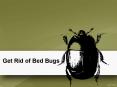 Get Rid of Bed Bugs PowerPoint PPT Presentation