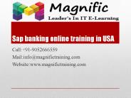 sap banking online training in usa