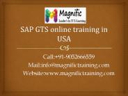 sap gts online training in usa