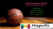 sap ehs online tutorial