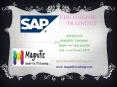 sap ehs online training PowerPoint PPT Presentation