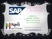 sap ehs online training