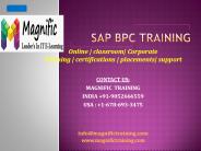 sap bpc online training tutorial